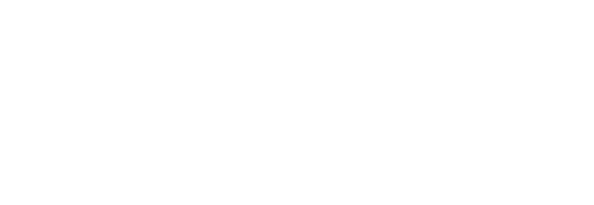 Delvio Tax